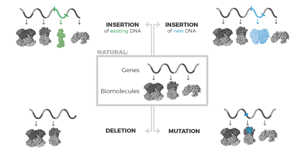 Genetic Modifications List of genetic modifications