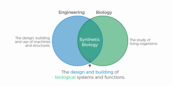 SynBio