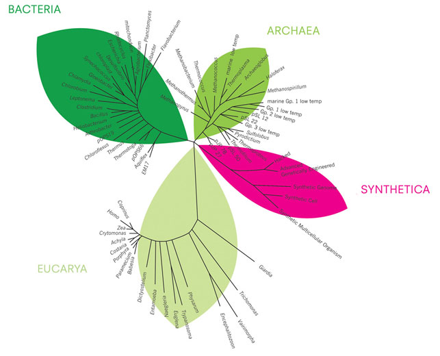 Synthetic Biology - Tree of life Synthetic Biology - Tree of life